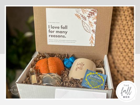 Fall Care Package for Women | Thinking of You Gift Box | Friendship Gift | Cozy Autumn Self Care Gift | Pumpkin Gift